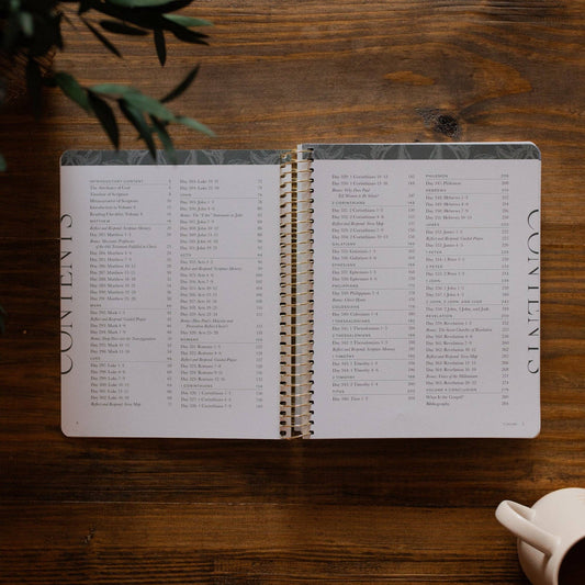 A Year in the Bible | Volume 4 Bible Study