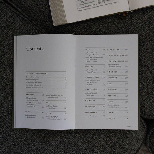 A Year in the Bible | Men's Volume 4 Bible Study