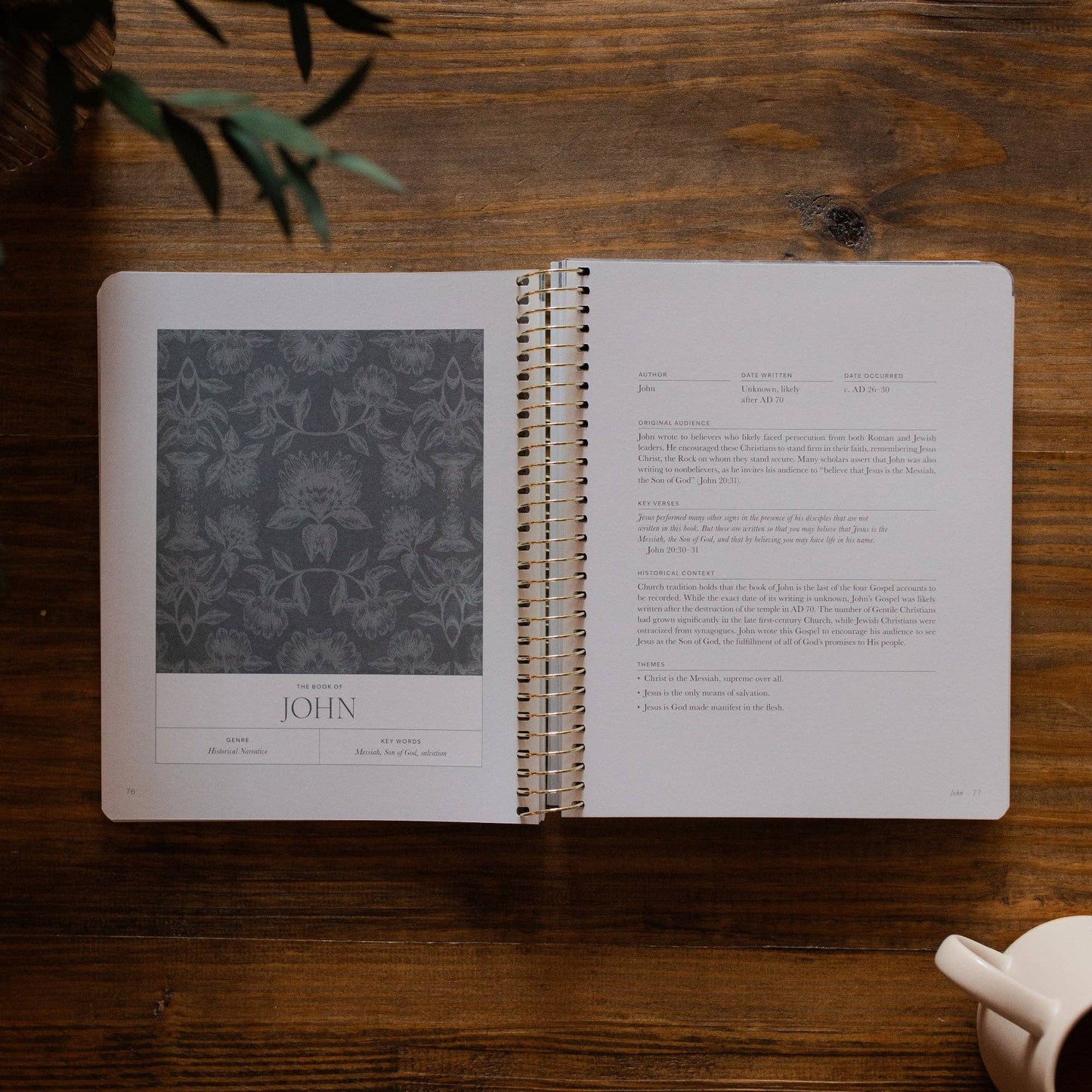 A Year in the Bible | Volume 4 Bible Study
