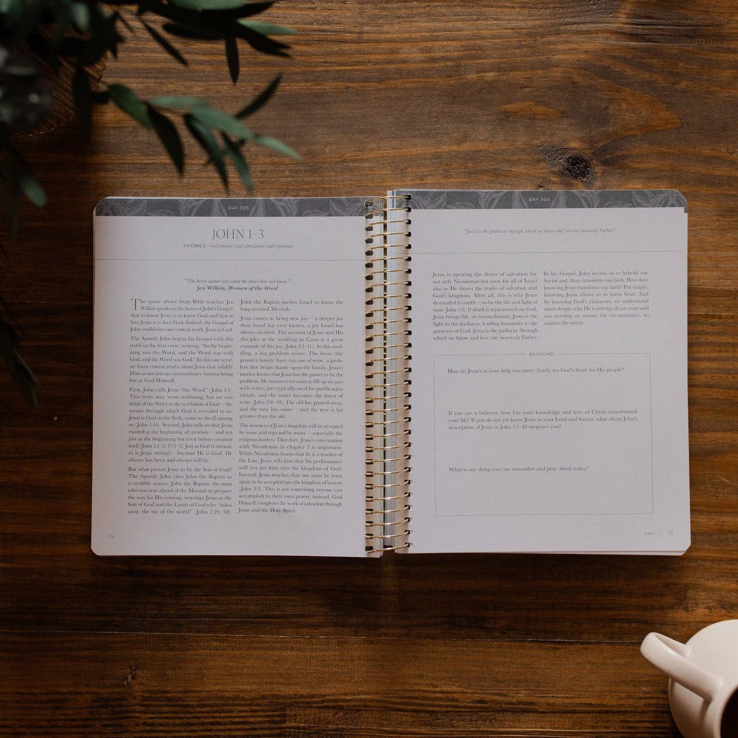 A Year in the Bible | Volume 4 Bible Study