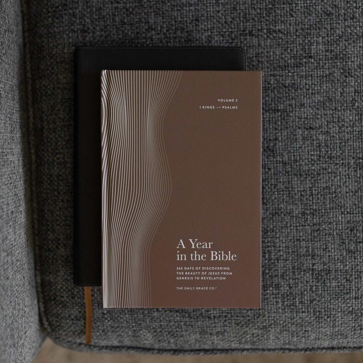 A Year in the Bible | Men's Volume 2 Bible Study