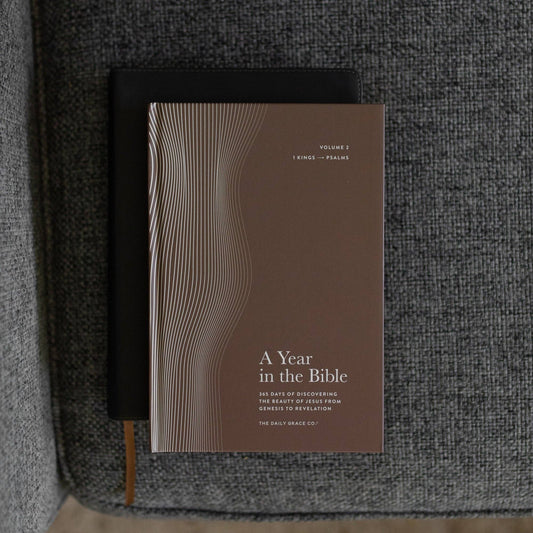 A Year in the Bible | Men's Volume 2 Bible Study