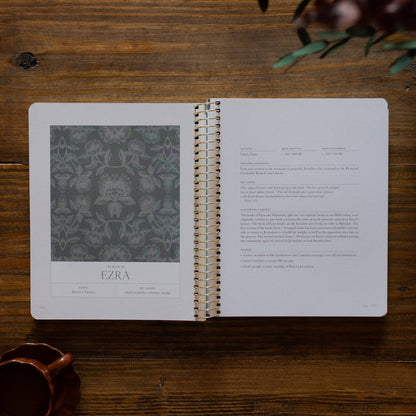 A Year in the Bible | Volume 2 Bible Study
