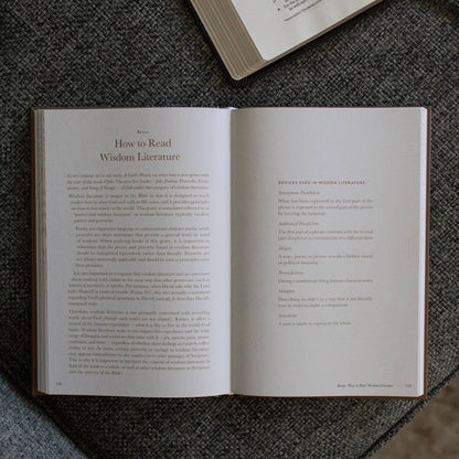 A Year in the Bible | Men's Volume 2 Bible Study