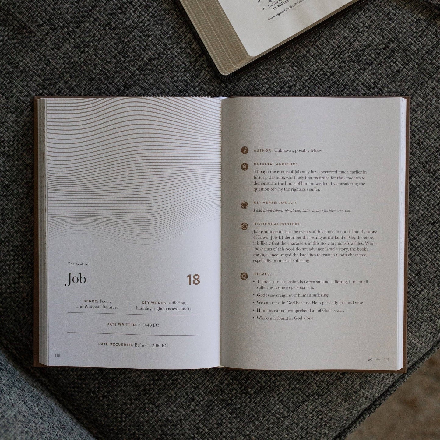 A Year in the Bible | Men's Volume 2 Bible Study