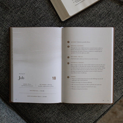 A Year in the Bible | Men's Volume 2 Bible Study