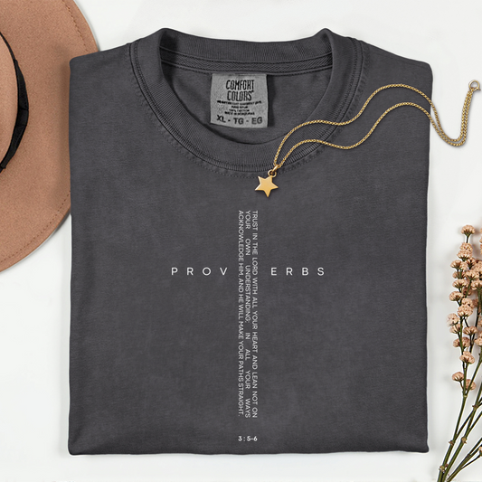 Proverbs Comfort Colors T-Shirt Charcoal