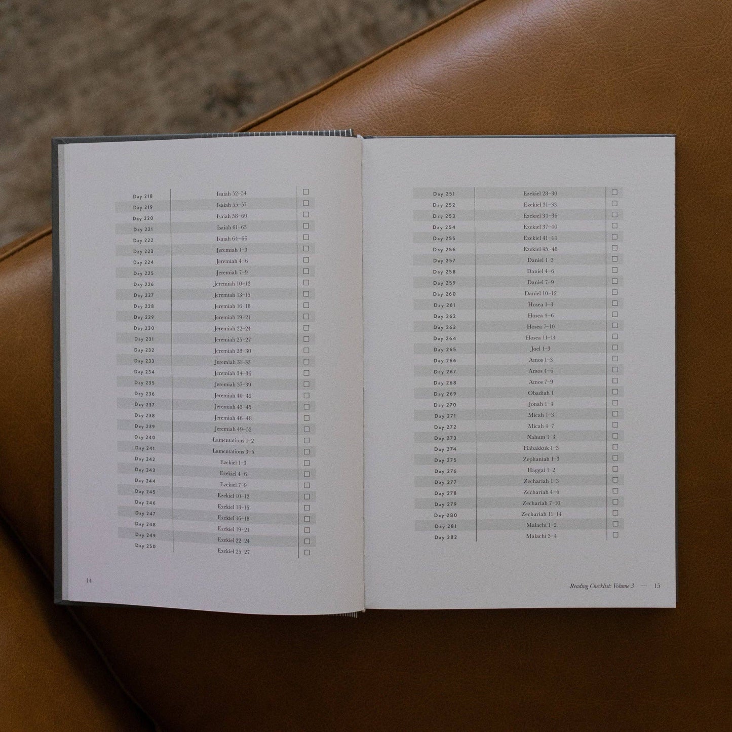 A Year in the Bible | Men's Volume 3 Bible Study