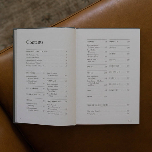 A Year in the Bible | Men's Volume 3 Bible Study