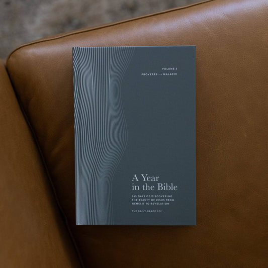 A Year in the Bible | Men's Volume 3 Bible Study