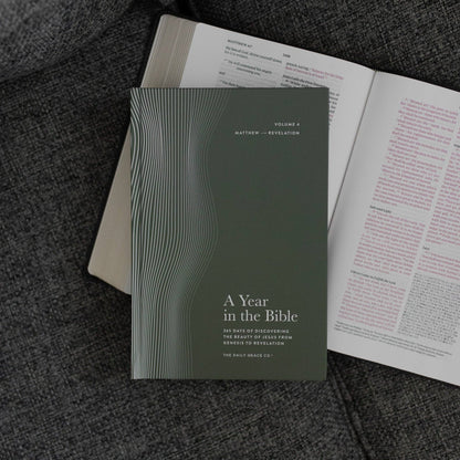 A Year in the Bible | Men's  Volume 4 Bible Study
