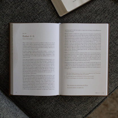 A Year in the Bible | Men's Volume 2 Bible Study