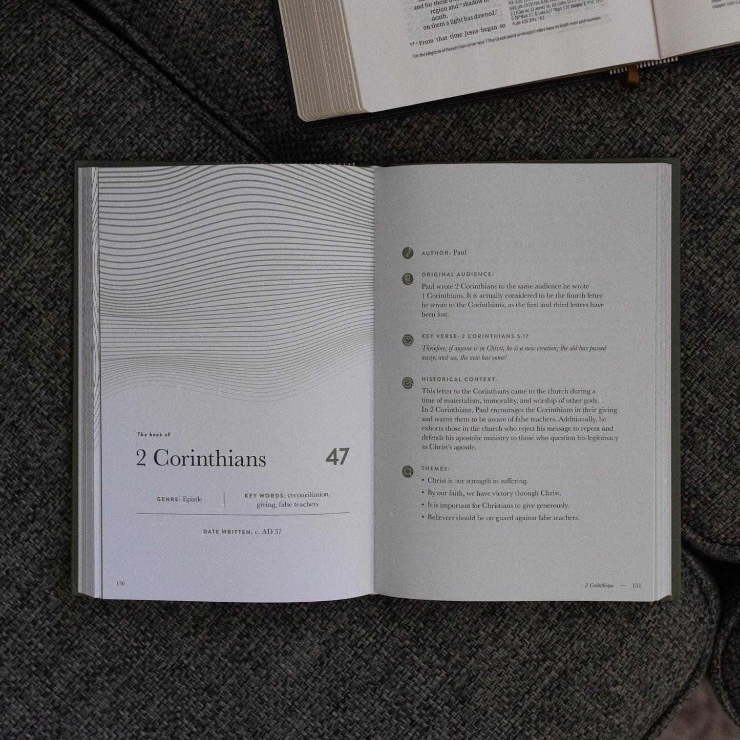 A Year in the Bible | Men's  Volume 4 Bible Study