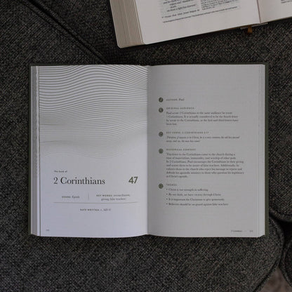 A Year in the Bible | Men's  Volume 4 Bible Study
